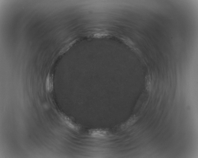 X0000082200471200702021849