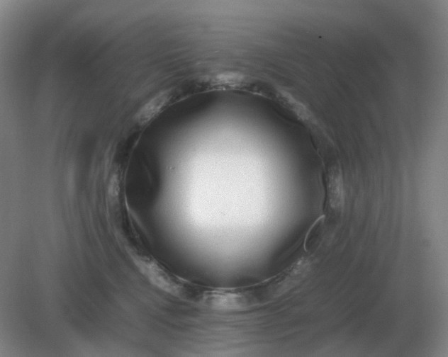 X0000082200472200702021849