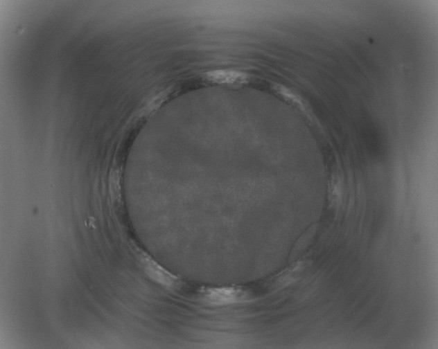 X0000082200473200702021849