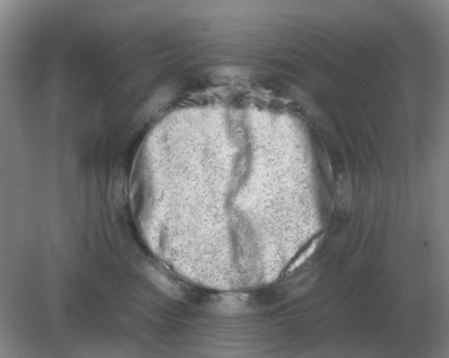 X0000082200474200702021849