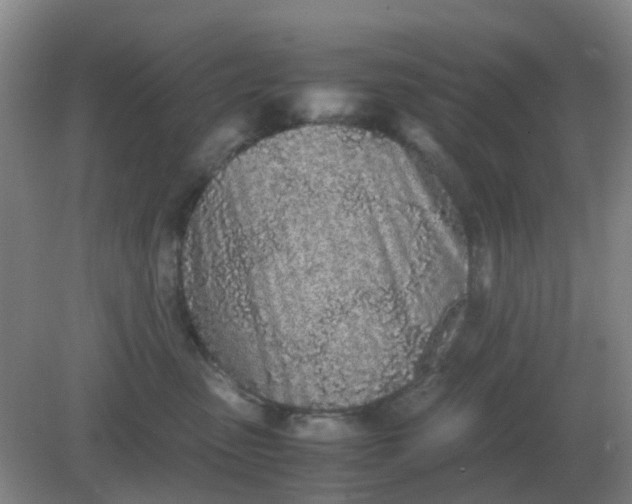 X0000082200475200702021849