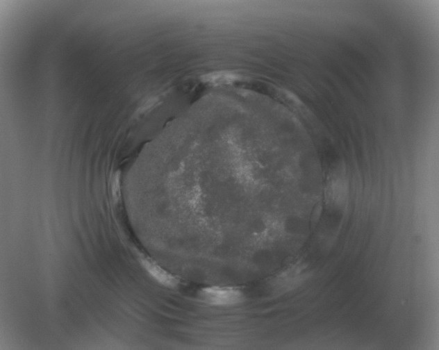 X0000082200477200702021849