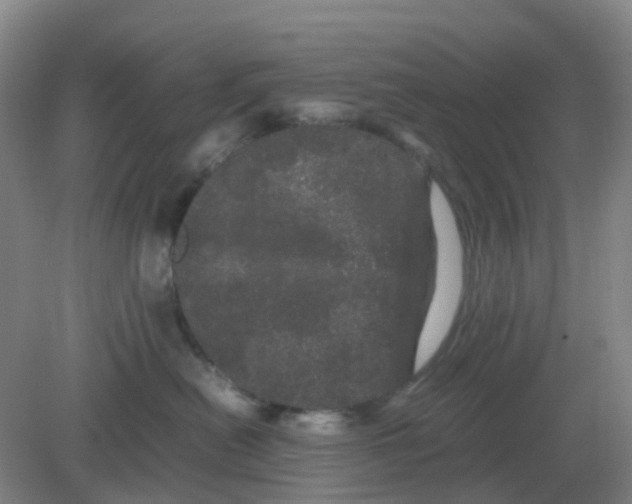 X0000082200478200702021849