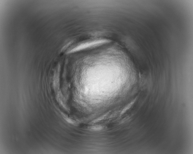 X0000082200479200702021849