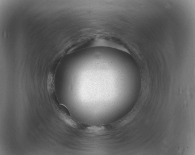 X0000082200480200702021849