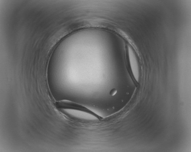 X0000082200481200702021848