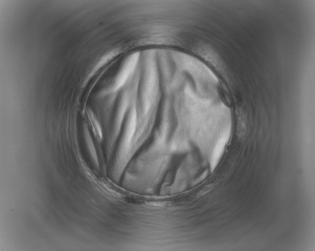 X0000082200482200702021848