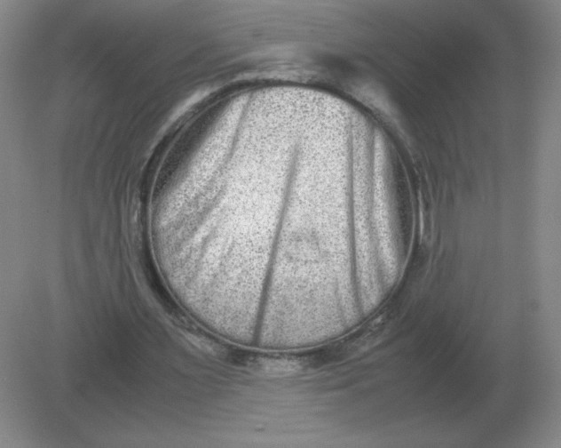 X0000082200483200702021848