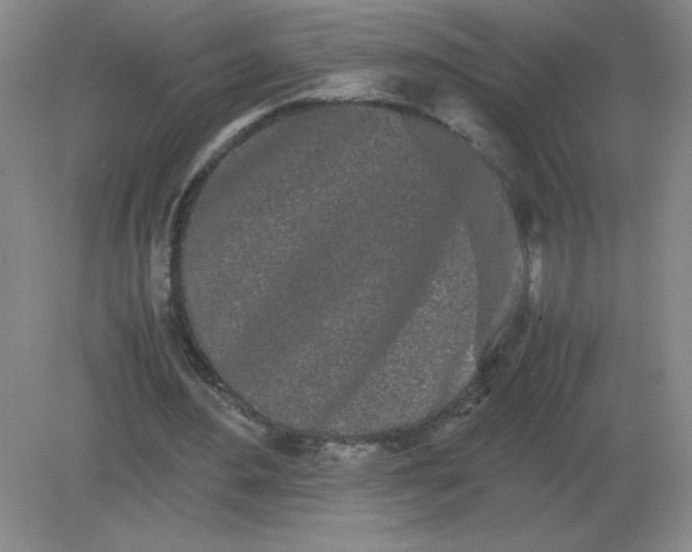 X0000082200484200702021848