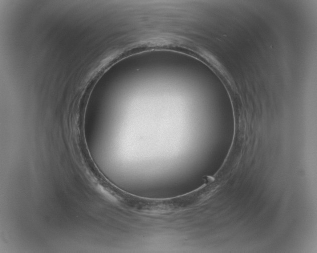 X0000082200485200702021848