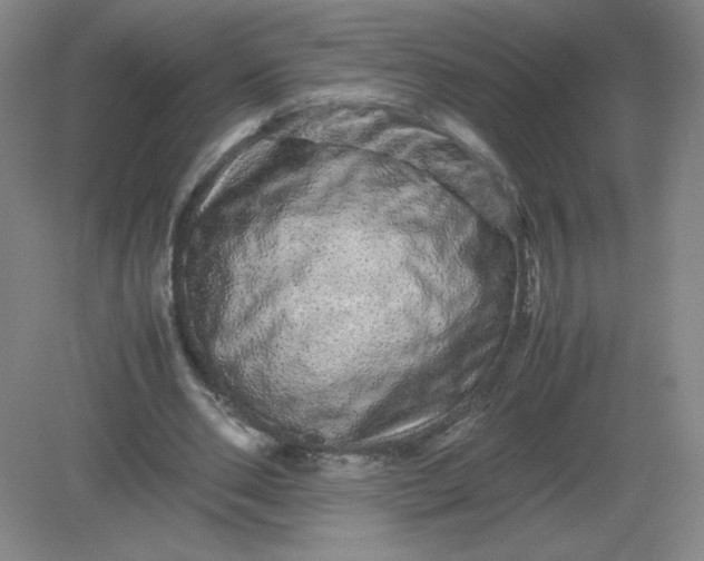 X0000082200486200702021848