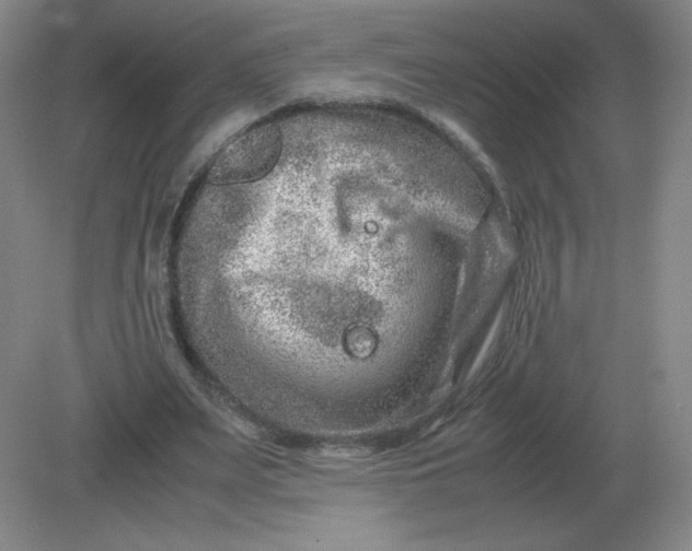 X0000082200487200702021848