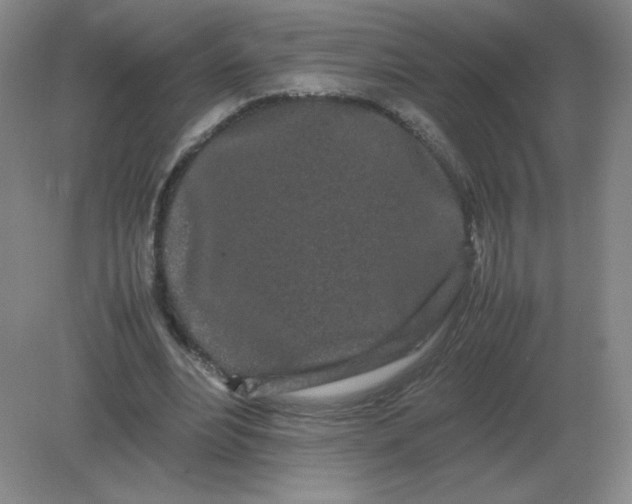 X0000082200488200702021848