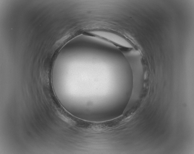 X0000082200489200702021848