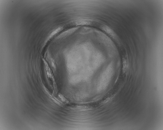 X0000082200490200702021848