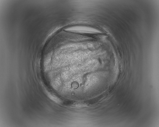 X0000082200491200702021848