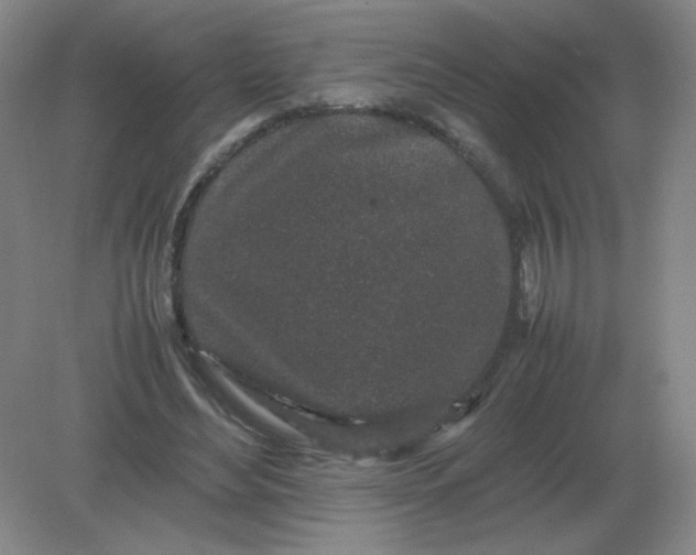 X0000082200492200702021848