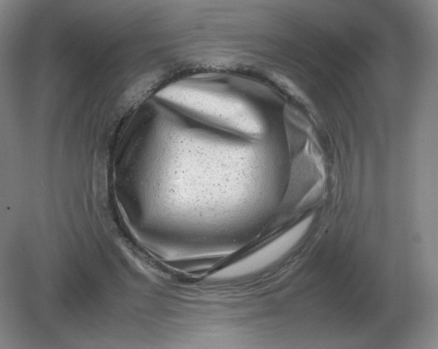 X0000082200493200702021848