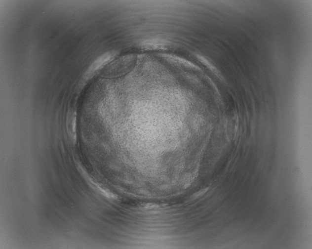 X0000082200494200702021848