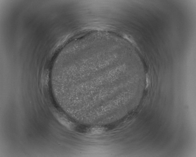 X0000082200495200702021848