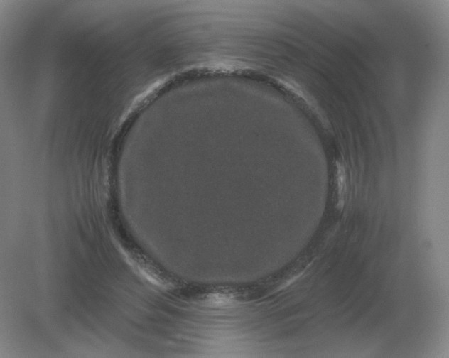 X0000082200496200702021848