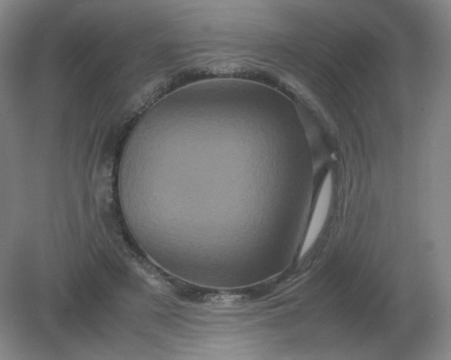 X0000082200497200702021848