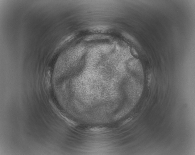 X0000082200498200702021848