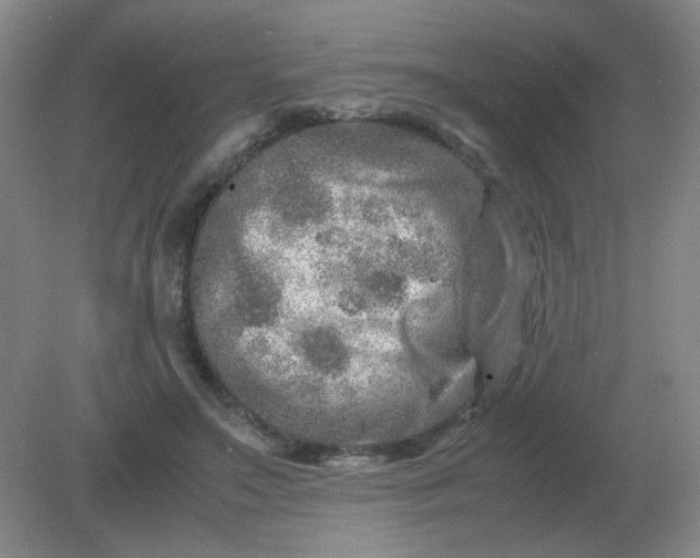 X0000082200499200702021848