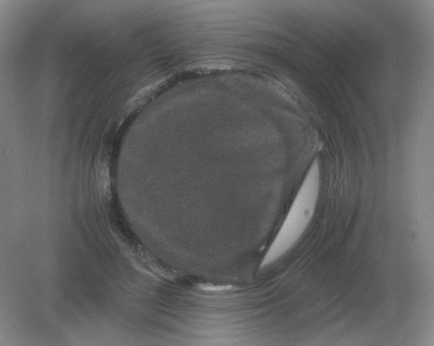 X0000082200500200702021848