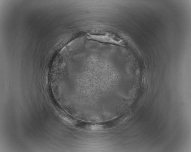 X0000082200501200702021848