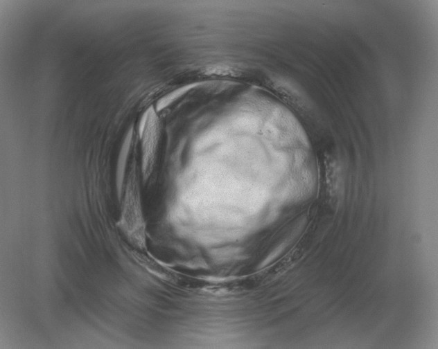 X0000082200502200702021848