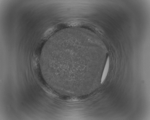 X0000082200503200702021848