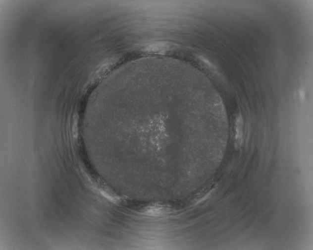 X0000082200504200702021848