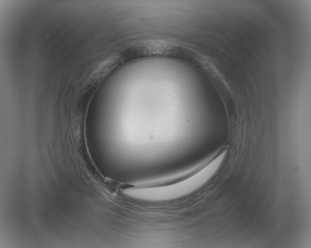 X0000082200505200702021848