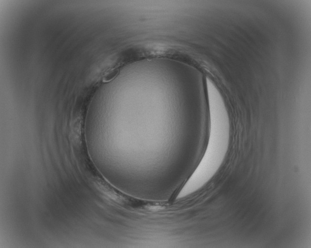 X0000082200509200702021848