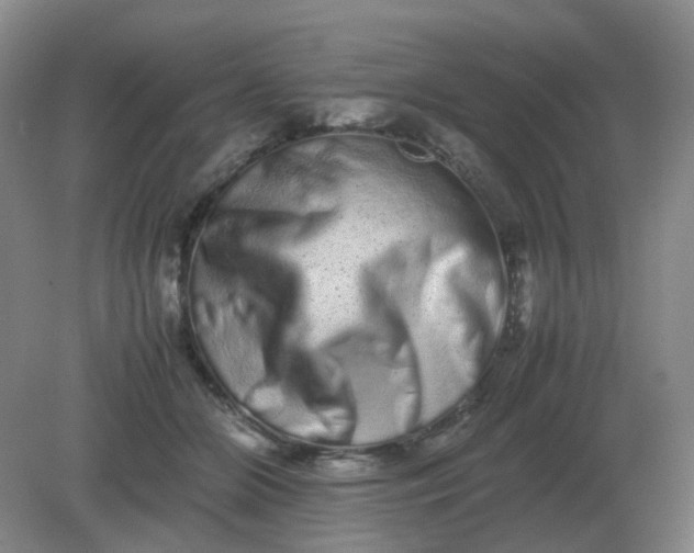 X0000082200510200702021847