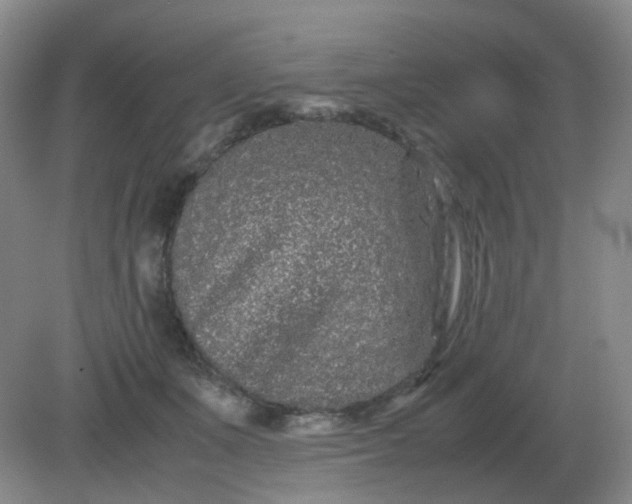 X0000082200511200702021847