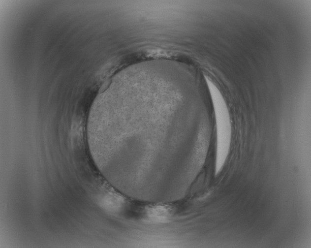 X0000082200513200702021847