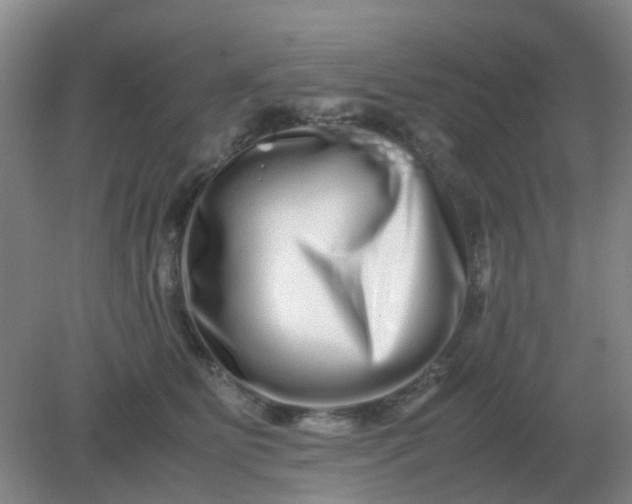 X0000082200515200702021847