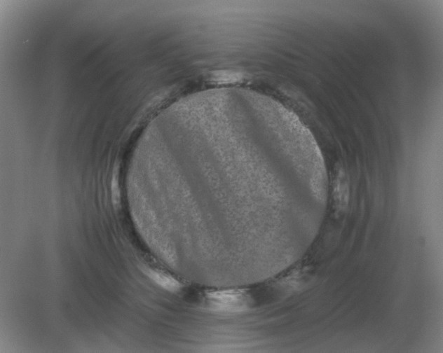 X0000082200516200702021847