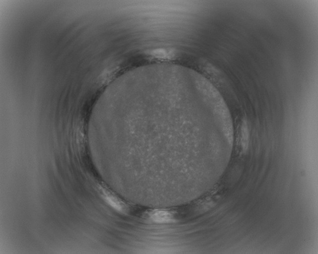 X0000082200518200702021847