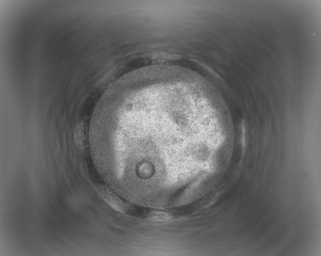 X0000082200519200702021847