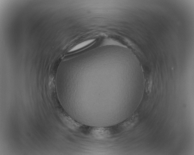 X0000082200521200702021847