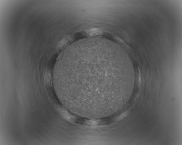 X0000082200523200702021847