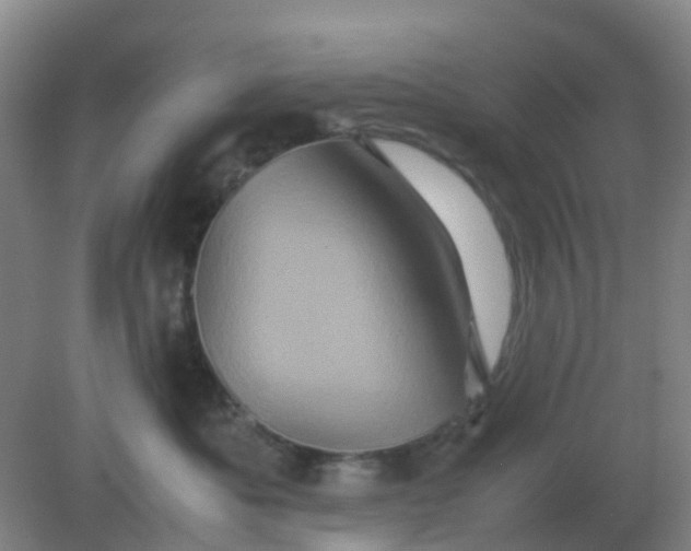 X0000082200525200702021847