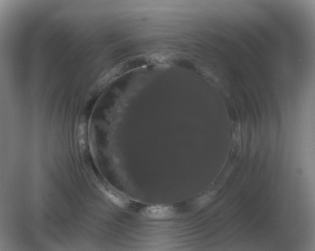 X0000082200526200702021847