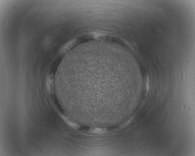 X0000082200527200702021847