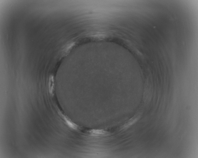 X0000082200528200702021847