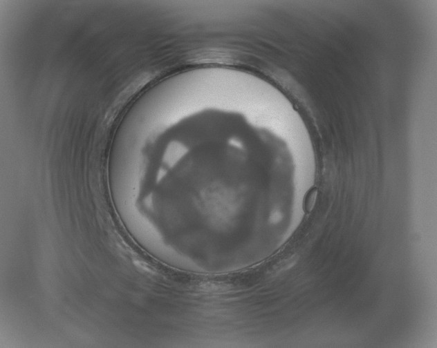 X0000082200529200702021846