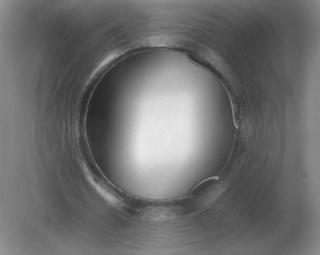 X0000082200530200702021846